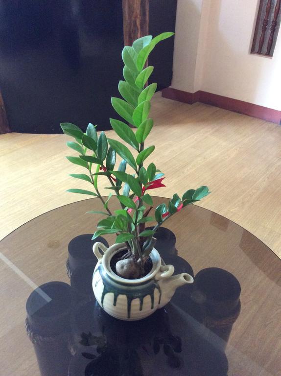 Bahay Ni Tuding - House Of Tuding Hotel Davao ภายนอก รูปภาพ
